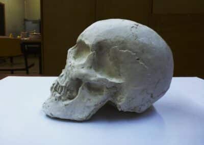 Skull